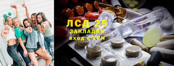 стафф Арсеньев