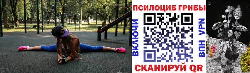 Галлюциногенные грибы MAGIC MUSHROOMS  продажа наркотиков  hydra ССЫЛКА  Могоча 
